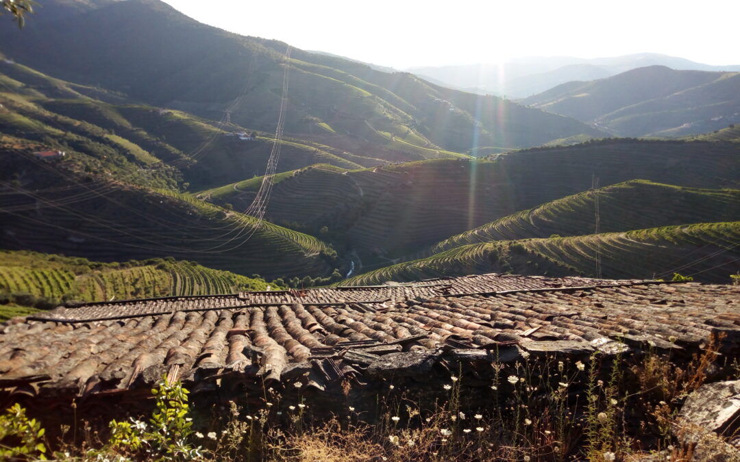 Torto Valley – this is Douro