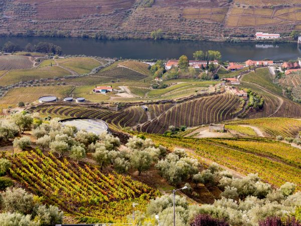 Antonio - Douro Valley-4