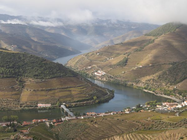 Antonio - Douro Valley-5