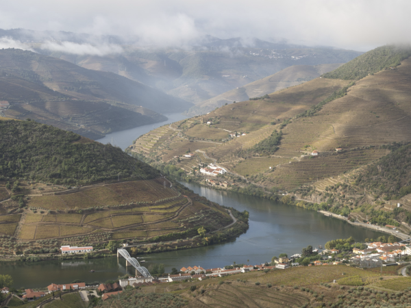 Captura de ecrã 2026-04-15, às 10.54.57