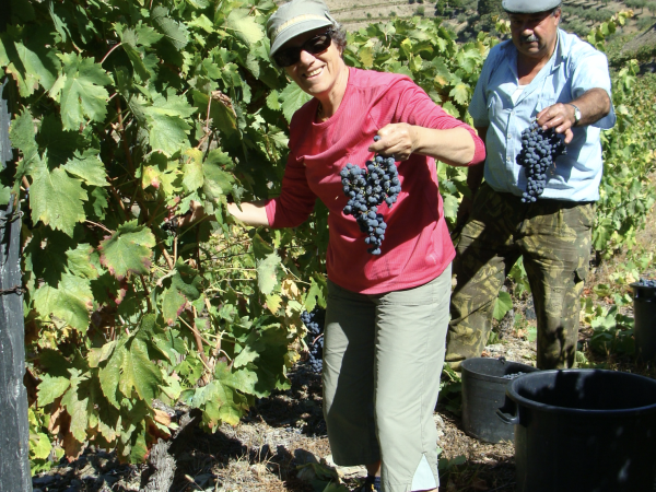 Captura de ecrã 2026-04-15, às 10.55.01