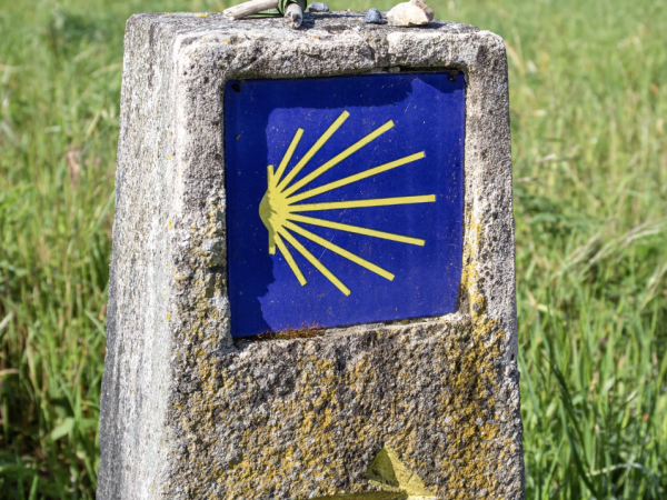 Captura de ecrã 2026-04-15, às 11.23.17