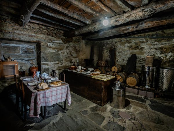 DSC05697-Enhanced-NR